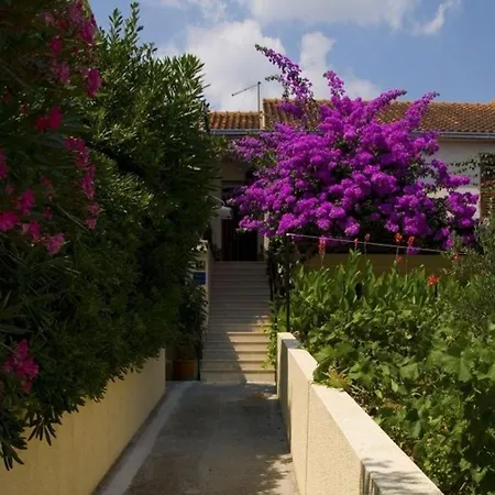 Studio In Insel Brac 5954 Bol