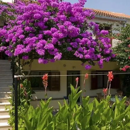 Studio In Insel Brac 5954 Apartman Bol